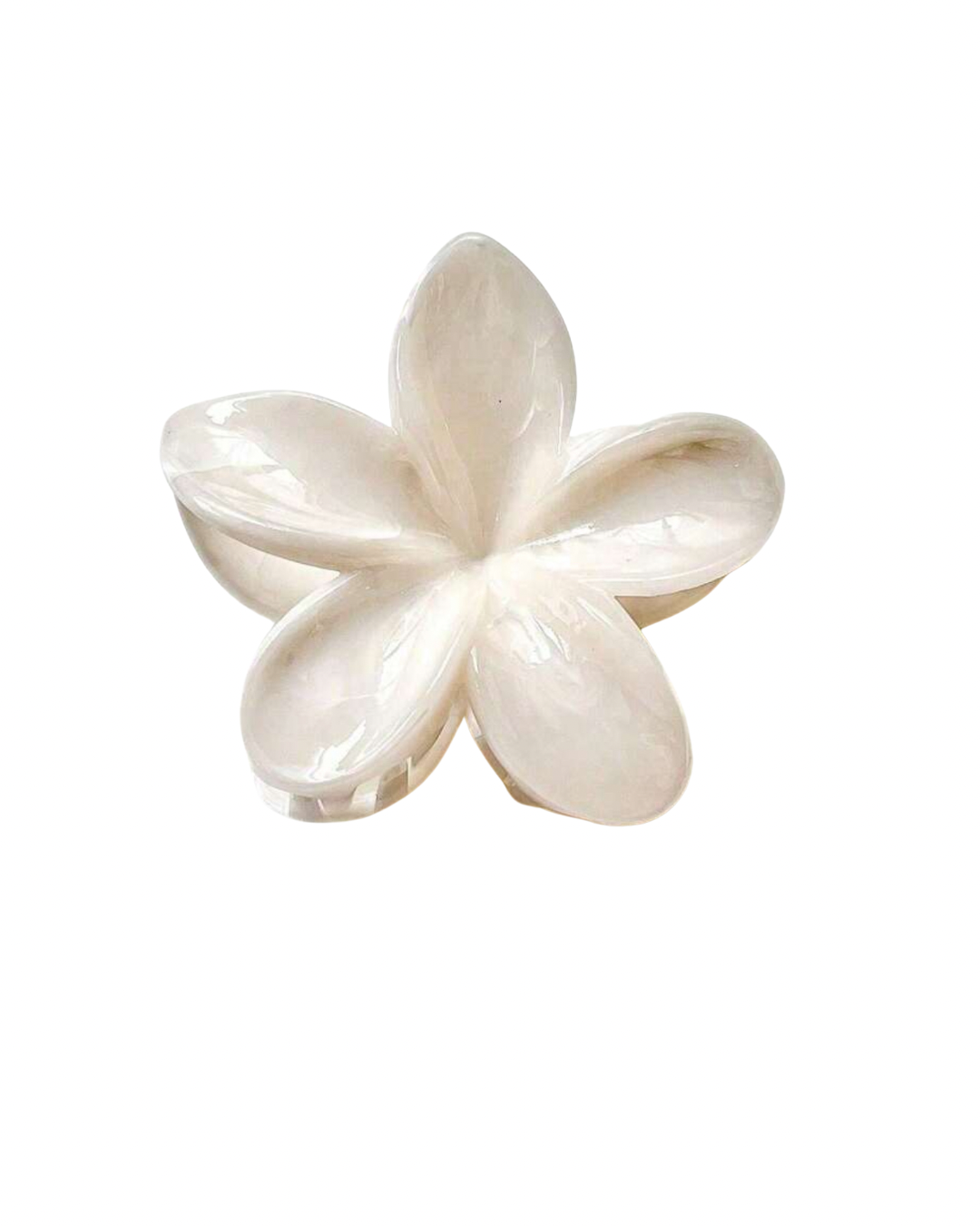 Product pictures for Her Box website